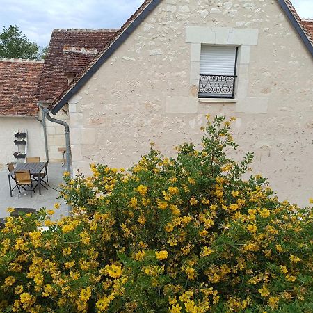 Gite De La Grand Maison Le Noyer Seigy Eksteriør bilde