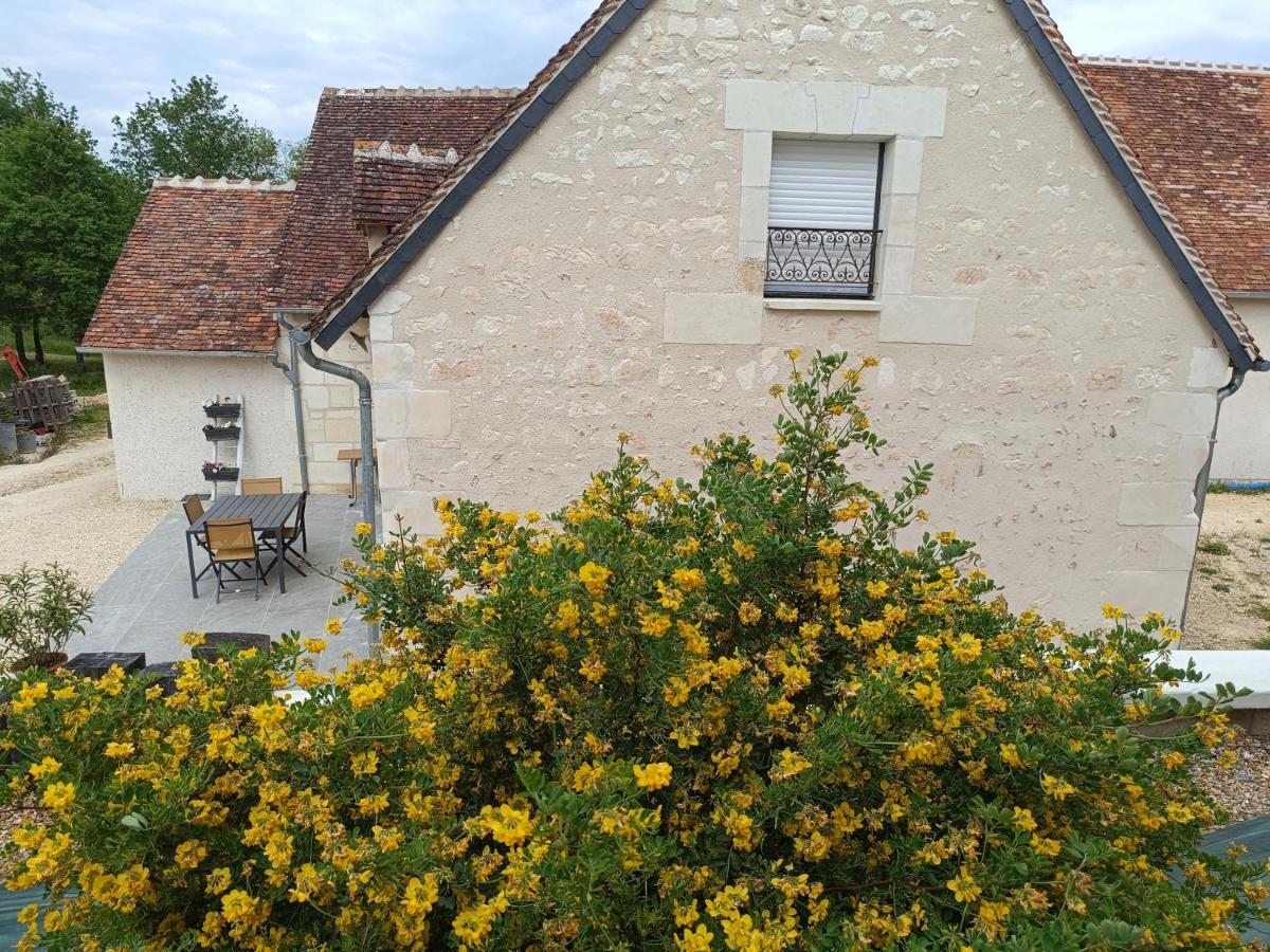 Gite De La Grand Maison Le Noyer Seigy Eksteriør bilde